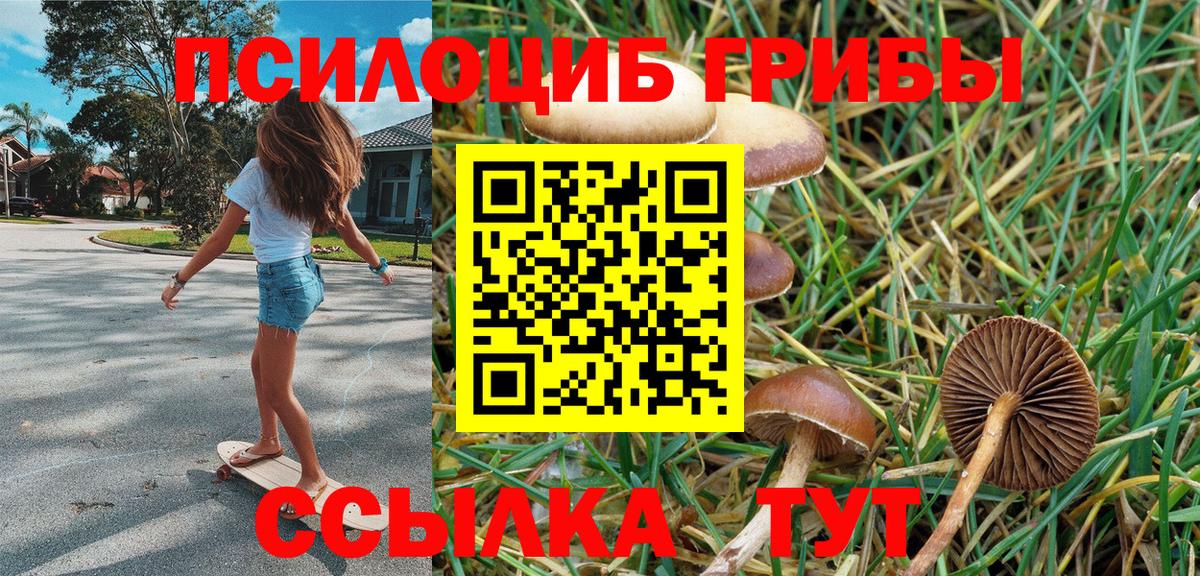 Галлюциногенные грибы MAGIC MUSHROOMS  Псилоцибиновые грибы мицелий  Орехово-Зуево  Вход с VPN 